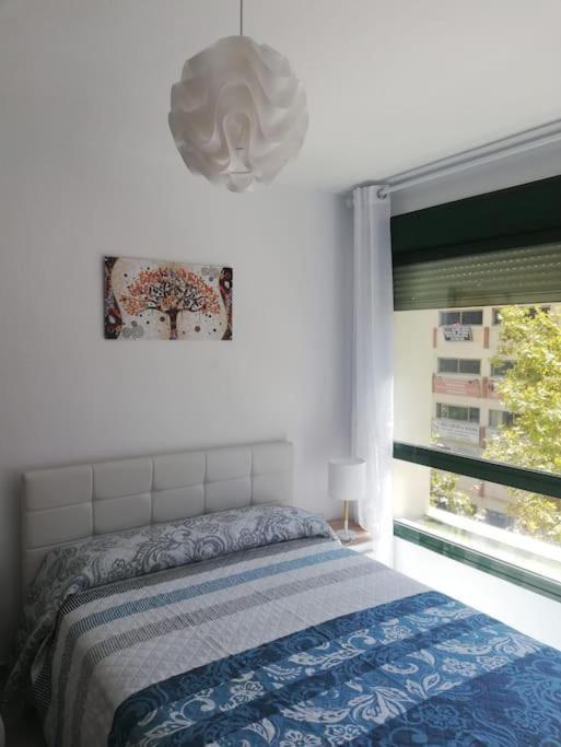 Estudio Cosmopolita Marbella Kültér fotó